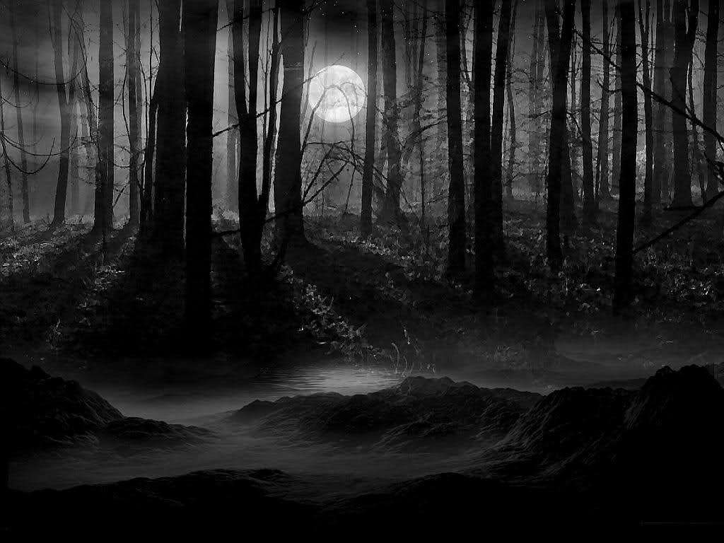 Black Forrest