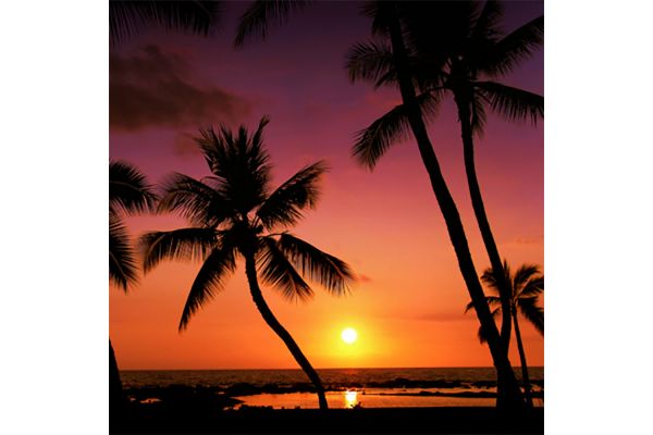 Caribbean Escape