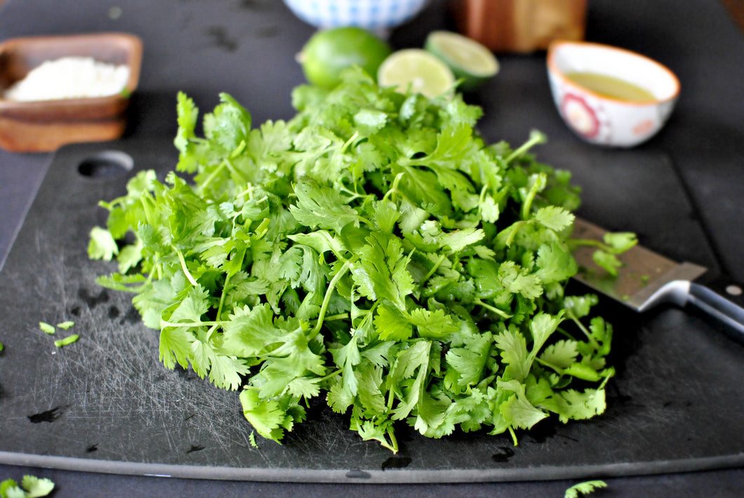 Cilantro